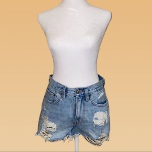Abercrombie and Fitch Curve Love Denim Shorts